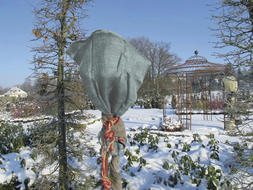 Winter protection jute sack, petrol