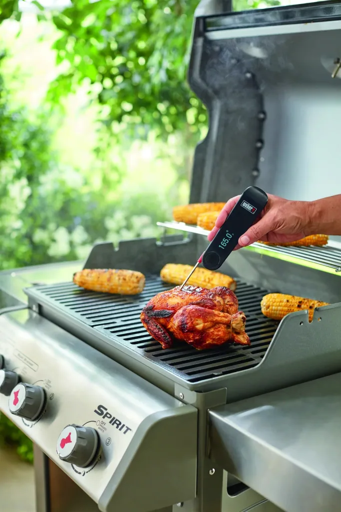 Snapcheck Digitalthermometer
