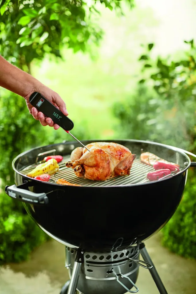 Snapcheck Digitalthermometer