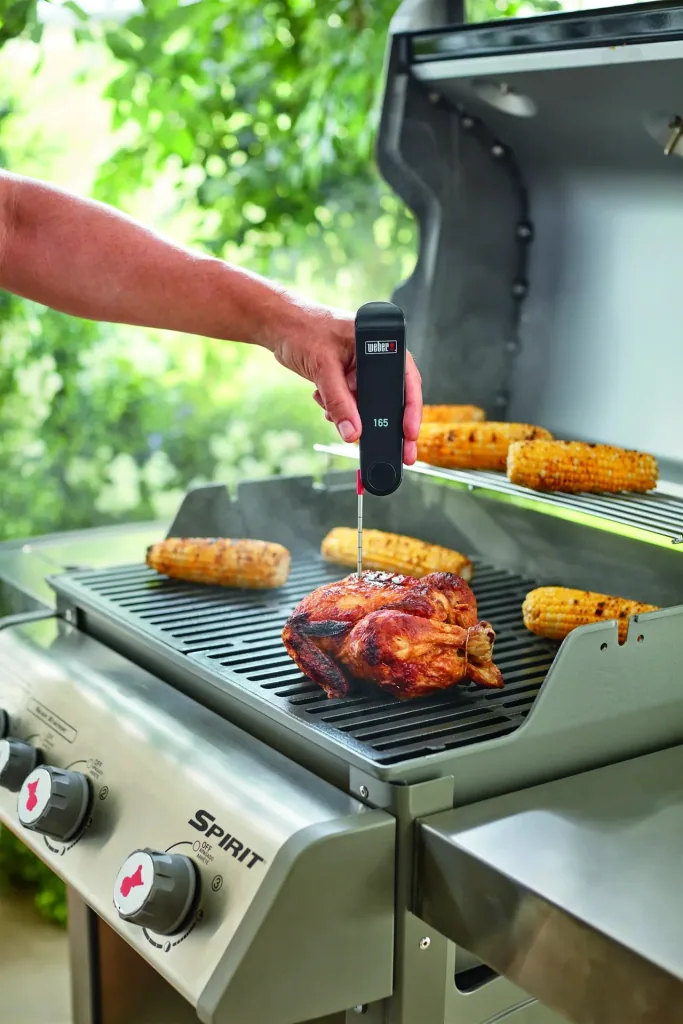 Snapcheck Digitalthermometer