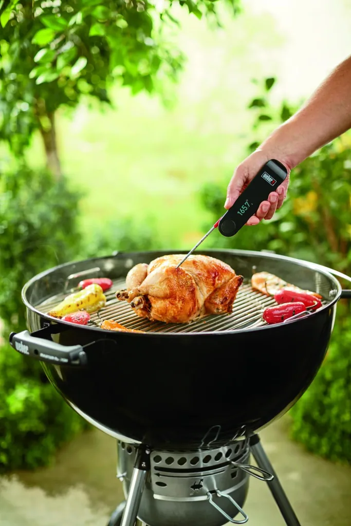 Snapcheck Digitalthermometer