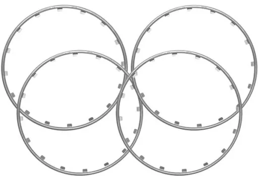 Rim Ringz rim ring, 20 inches, color silver