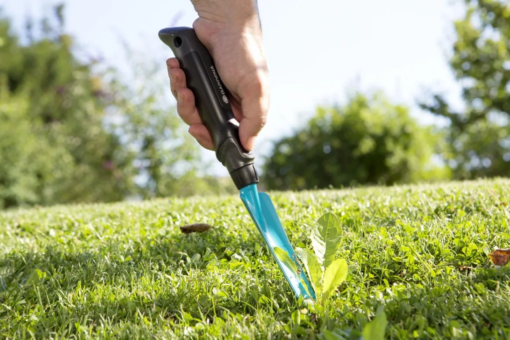 Weed puller