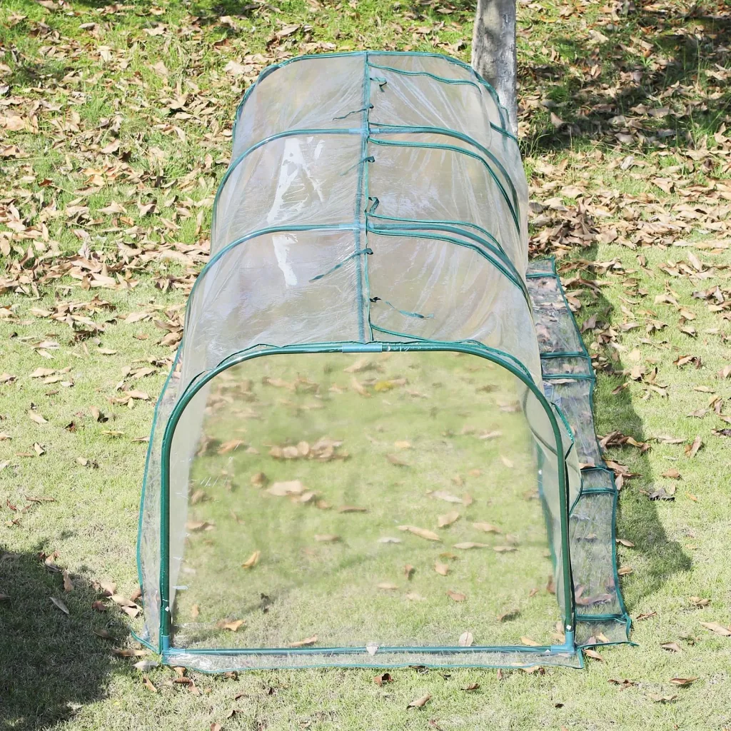 Polytunnel with 3 doors