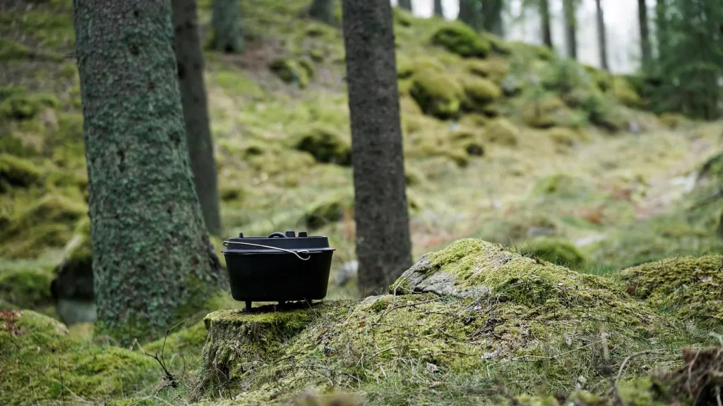 Dutch oven (12 qt)