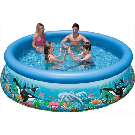 Easy Set Pool with pressure Ø 305