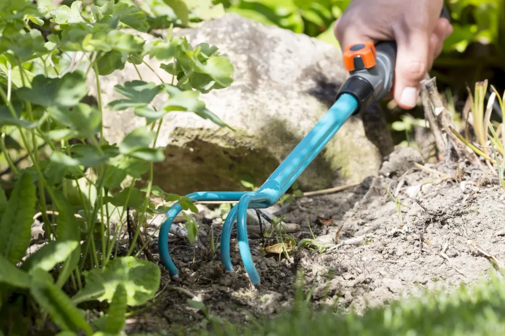 Combisystem small cultivator