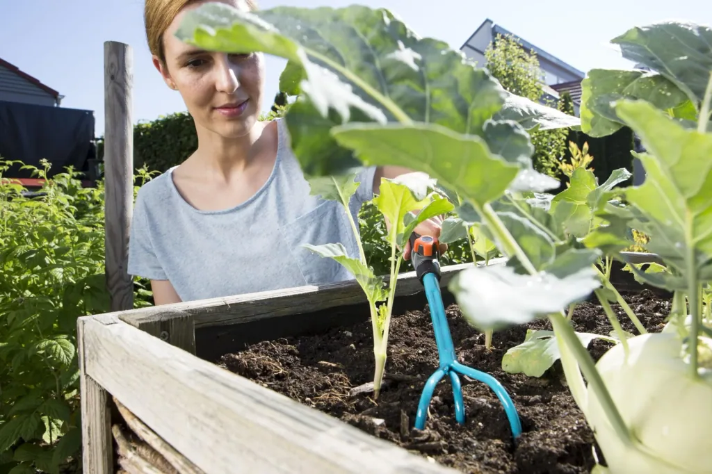 Combisystem small cultivator