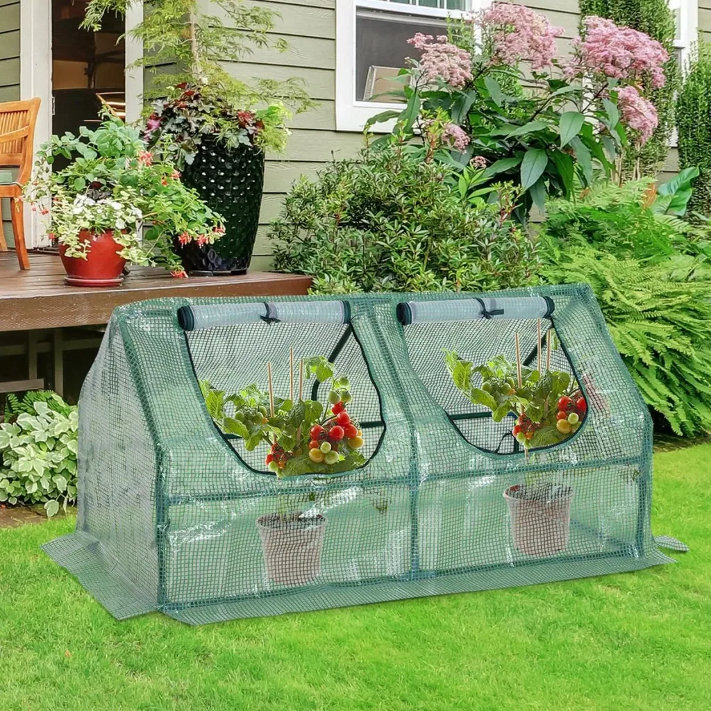 Greenhouse cold frame green transparent
