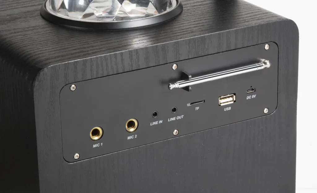Disco speaker with microphone