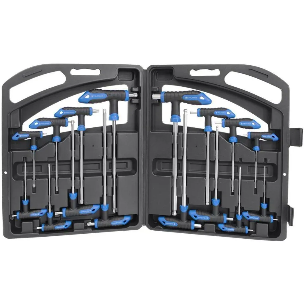 16-piece T-handle hex and zeskant key set