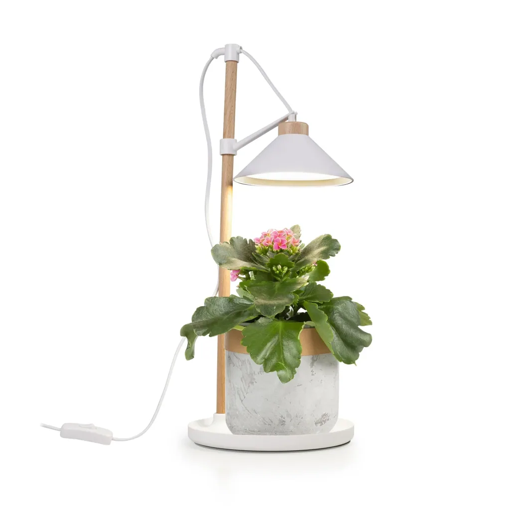 LED grow light 9 W