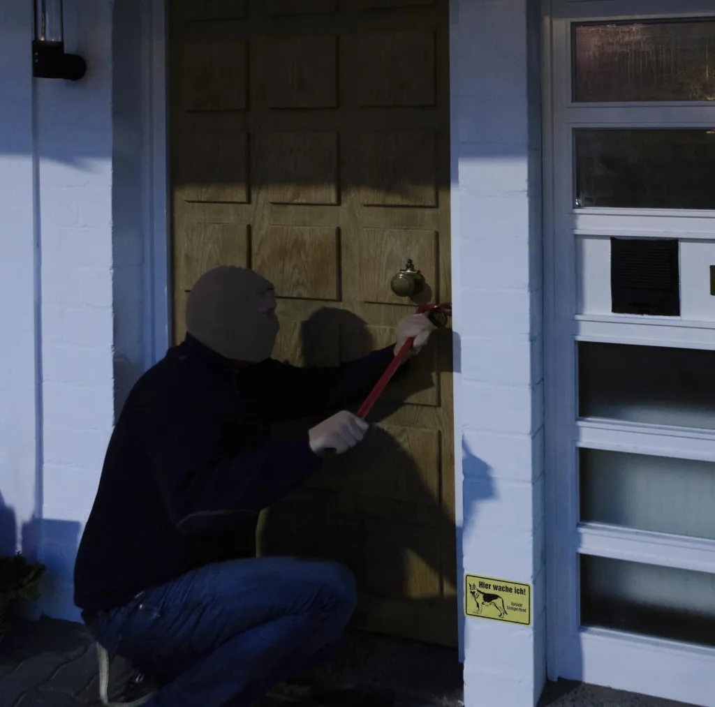 Burglar alarm - Electronic watchdog