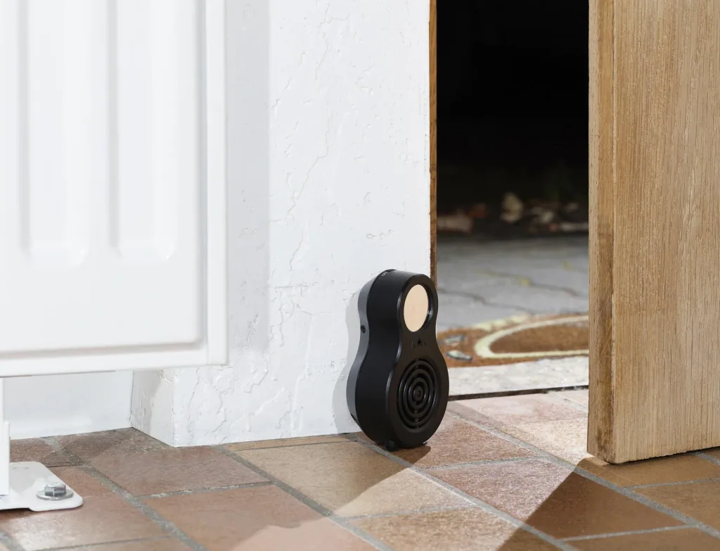 Burglar alarm - Electronic watchdog