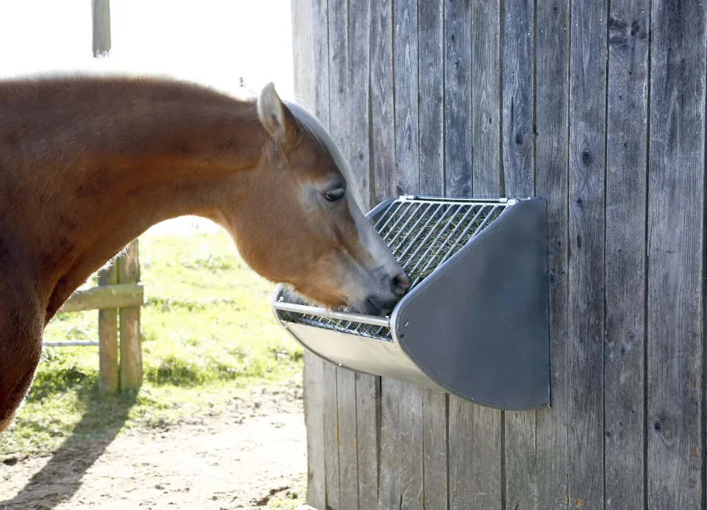 Hay rack with feed saving grid