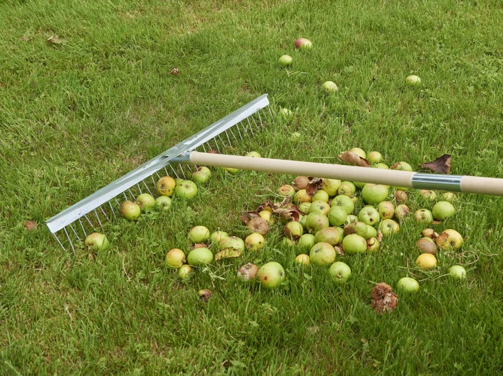 Multi V-rake, 68 cm working width!