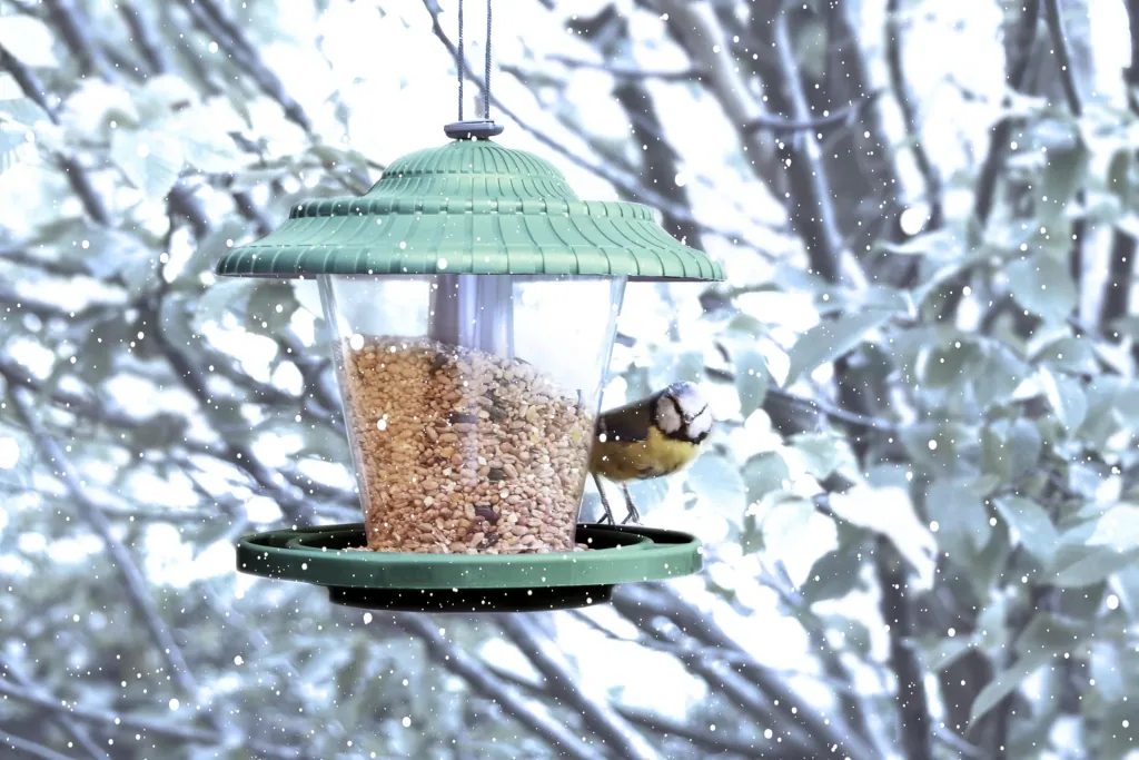 Bird feed silo sorted by color