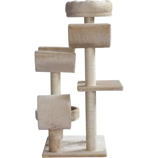 Cat climbing tree