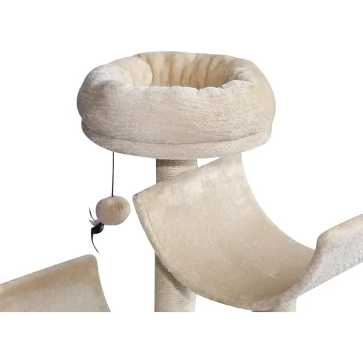 Cat climbing tree