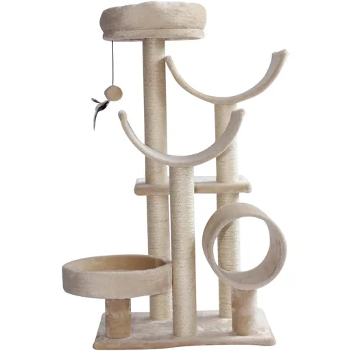 Cat climbing tree