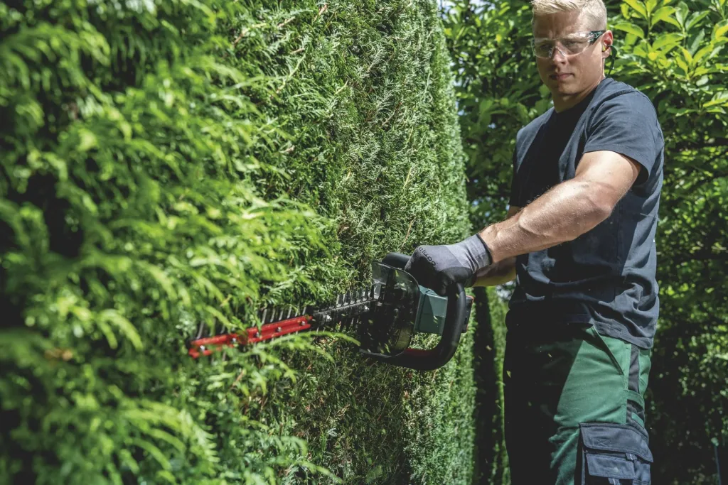 Cordless hedge trimmer HS 18 LTX BL 65 without battery pack, without charger