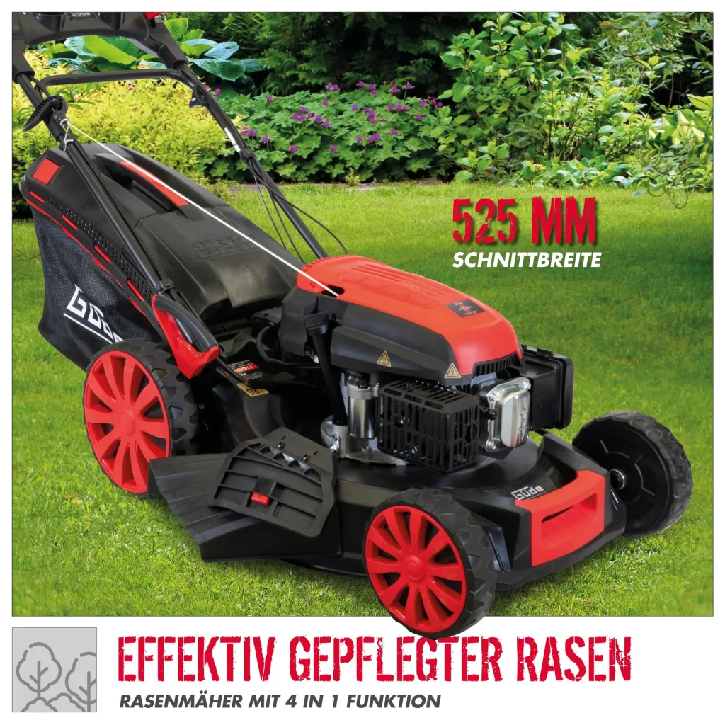 Big Wheeler 534.1 R ES lawn mower