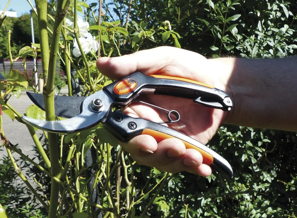 Men's scissors