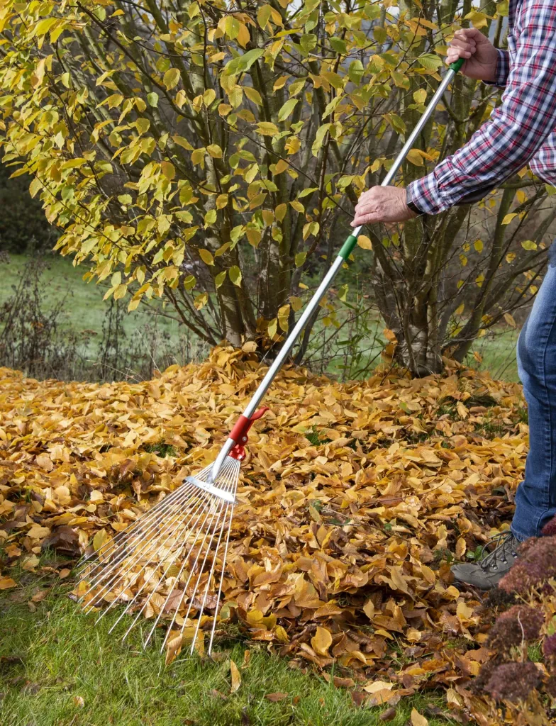 XXL universal rake, light metal, telescopic