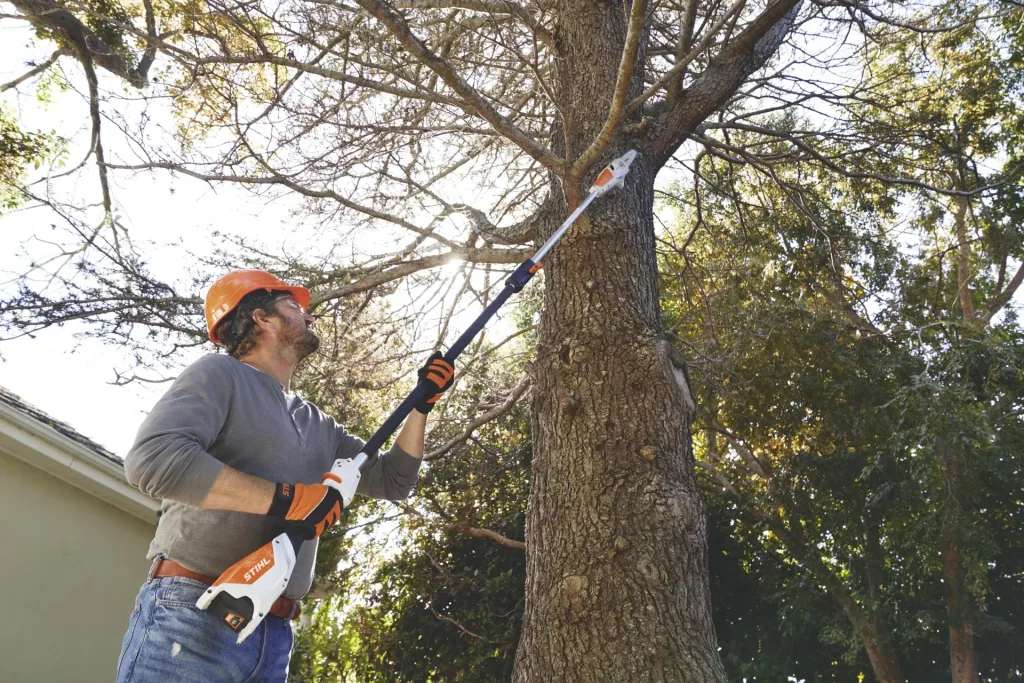 Cordless pole pruner HTA 50 set including AK 20 battery and AL 101 standard charger