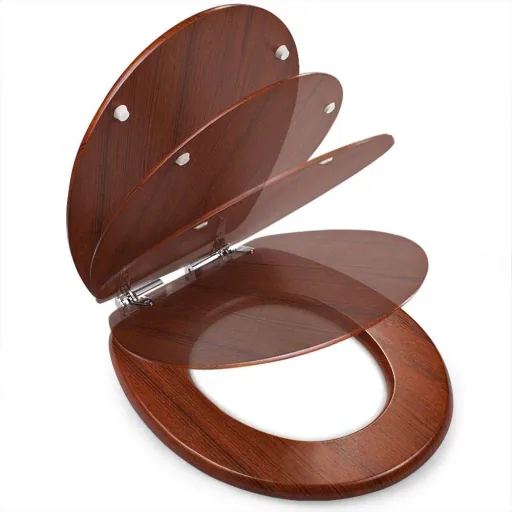 Toilet seat - closes slowly