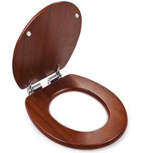Toilet seat - closes slowly