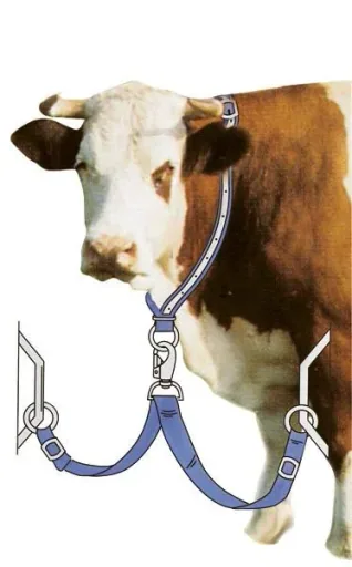 Neck strap for tying cows, cattle, young animals, made of Trevira