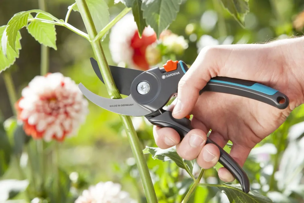 Bypass garden shears B/M, maximum cutting thickness 24 mm
