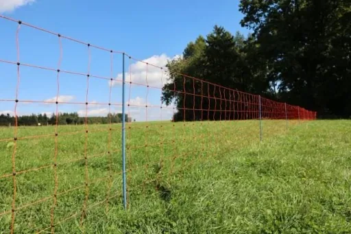 Sheep net OviNet Premium, 50 m, orange, 90 cm, single point