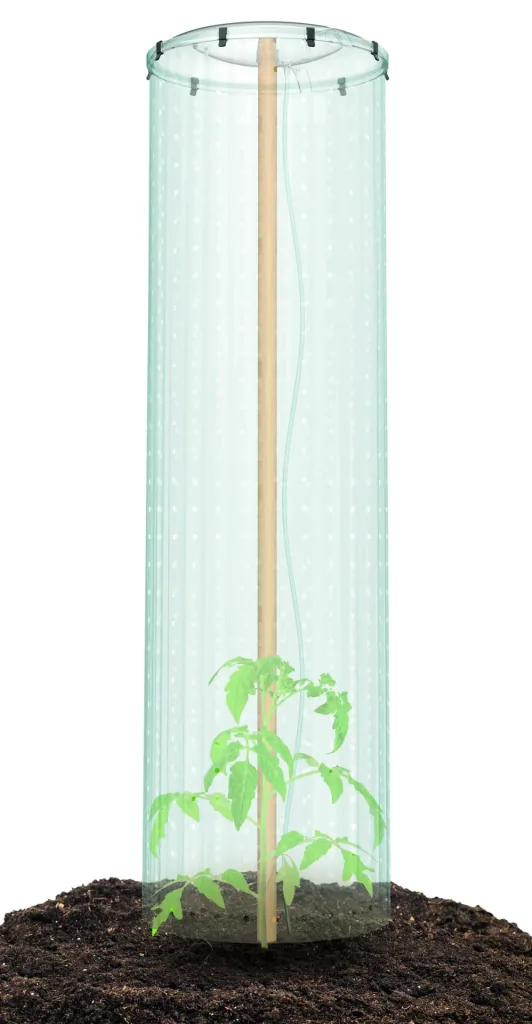 Tomato protection cover set