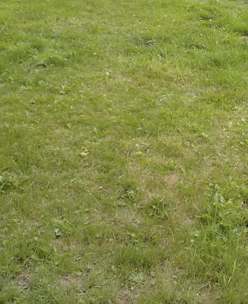 Miracle Repair Lawn, 1 kg