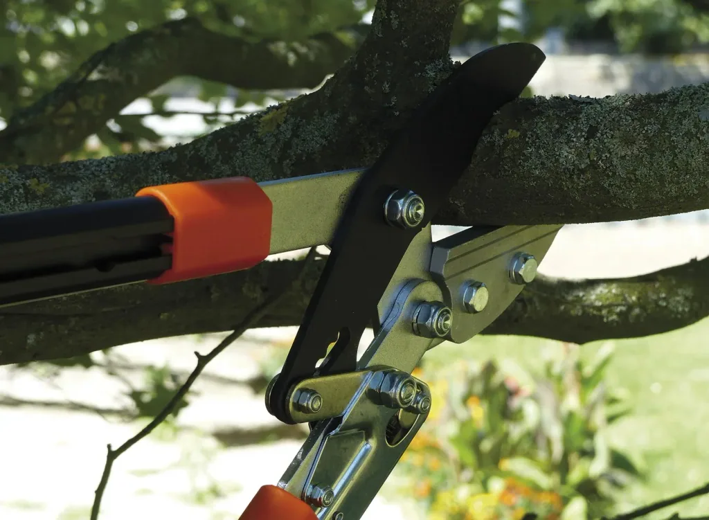 Branch anvil ratchet shears