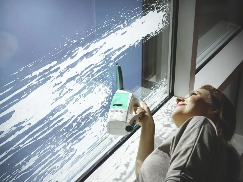 Cordless window vacuum "Dry & Clean" with spray, handle and washer + FREE window spray 500 ml