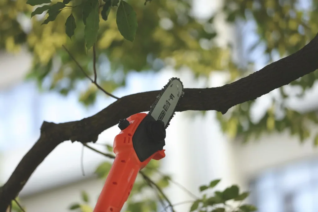 LS C20AW 20 V cordless pole pruner - without battery and charger