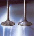 System cleaner for gasoline engines