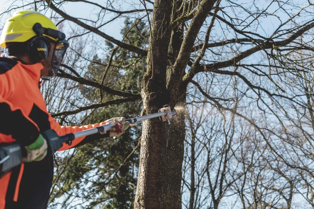 Pole pruner attachment MA-MS 25
