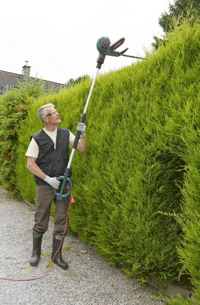 3D Tree and Hedge Care Set