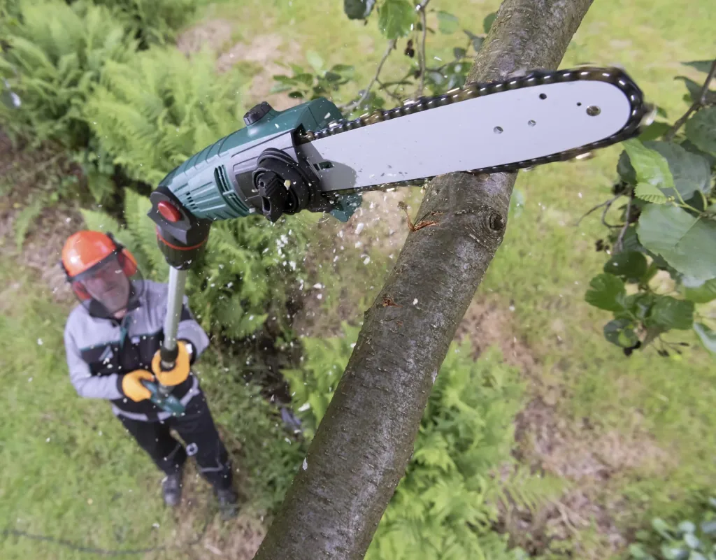 3D Tree and Hedge Care Set