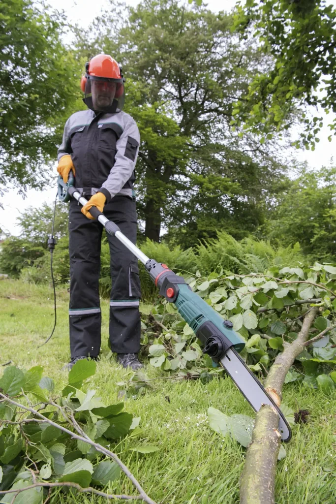3D Tree and Hedge Care Set