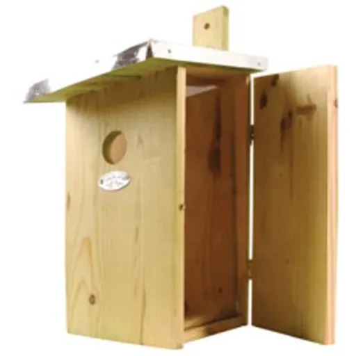Observation nest box