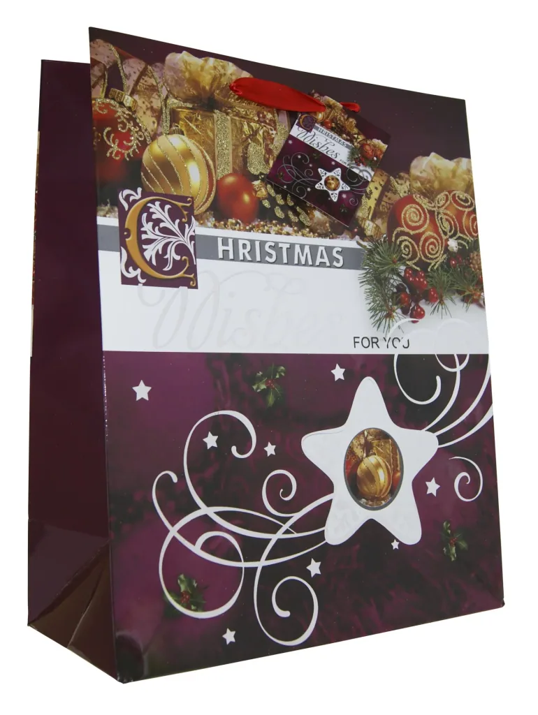 Gift bags "Christmas", 5 pieces