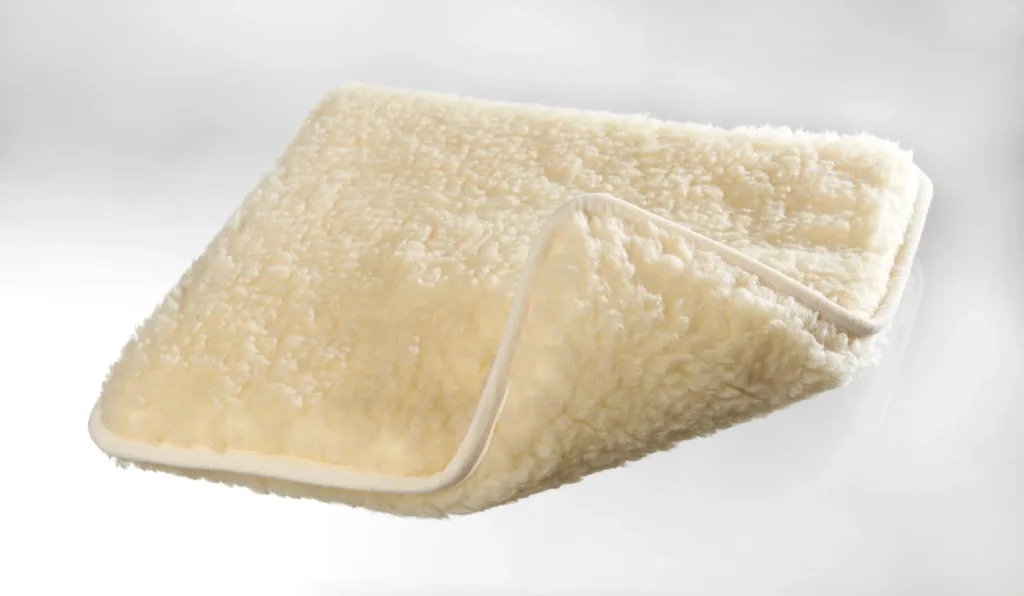 Premium reversible pillow
