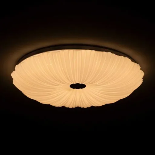 LED wall/ceiling light SHINING CORAL 24W with light temperature change + sleep timer + remote control Ø490 mm DIM