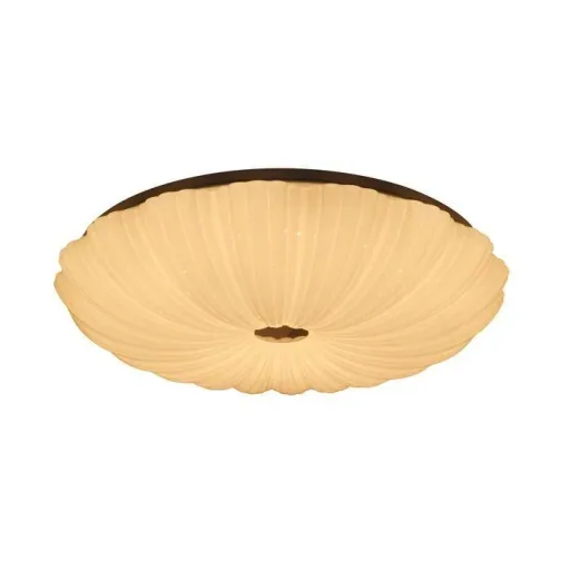 LED wall/ceiling light SHINING CORAL 24W with light temperature change + sleep timer + remote control Ø490 mm DIM