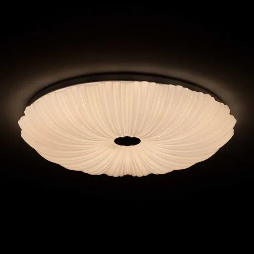 LED wall/ceiling light SHINING CORAL 24W with light temperature change + sleep timer + remote control Ø490 mm DIM